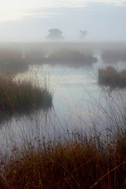 Sfeerplaatjes van mogelijke pingoruïnes (foto’s: Maarten Westmaas)