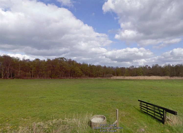 Zicht op het Boekweitveen vanaf de Veenweg