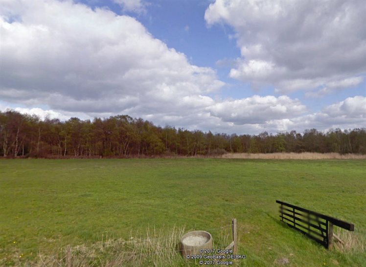 Zicht op het Boekweitveen vanaf de Veenweg