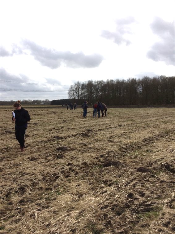 Enkele groepjes achter elkaar, langs raai B (foto: Anja Verbers).