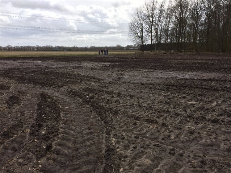 De natste plek van de depressie, achter het groepje in de verte ligt de sloot (foto: Anja Verbers).