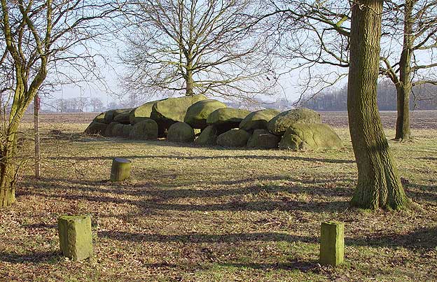 Het hunebed D16, noord van Kampsheide en een van de grafheuvels in het stergebied (foto: A. Verbers)