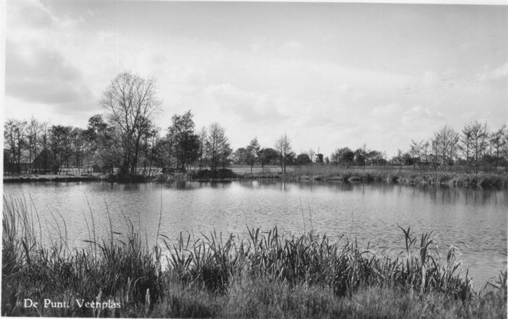Het Jonkersveen vanaf de zuidkant omstreeks 1950, met op de achtergrond Molen De Windlust.