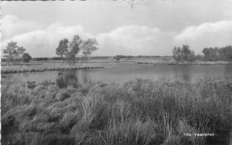 Ansichtkaart van het Middenveen omstreeks de jaren 1950. De foto is vanuit het zuiden gemaakt. Het open karakter is goed te zien.