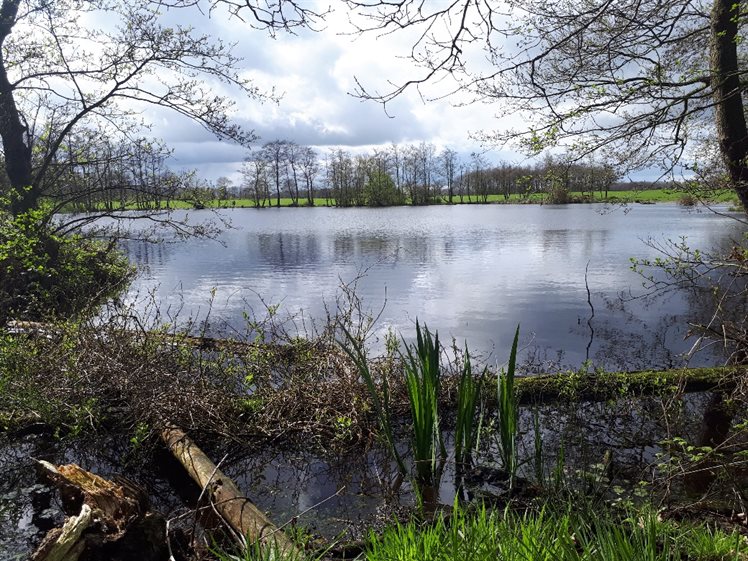 Kijkend over het Middelveen, foto is genomen vanaf de oostzijde (foto: Bart Koops, 2017)