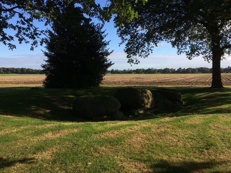 Hunebed D16, net ten zuiden van het Witteveen (foto: A. Verbers)