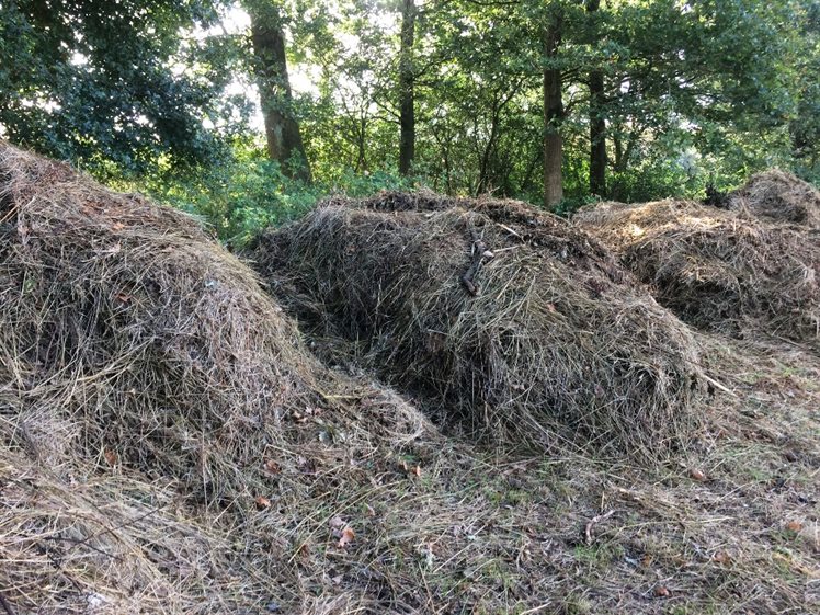 Vrijwilligers beheren het terreintje, het gemaaide gras wordt op hopen gelegd ten behoeve van ringslangen (foto: Anja Verbers).