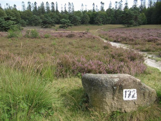 De Gletsjerkuil in het Buinerveld (foto: Jan Siem Rus).