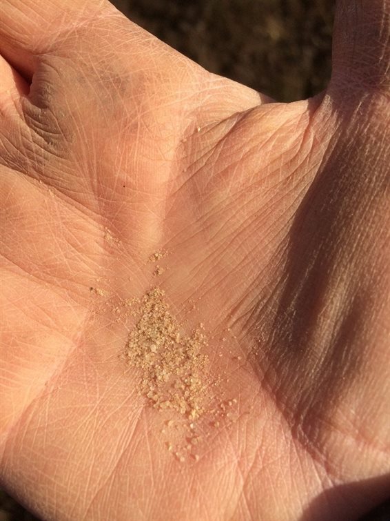 Sterk gevarieerde zandkorrels, mogelijk smeltwaterzand. (foto: A. Verbers) .