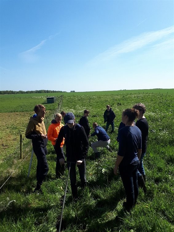 Leerlingen van het OSG Piter Jelles !mpuls bezig met onderzoek (foto: B. Koops)