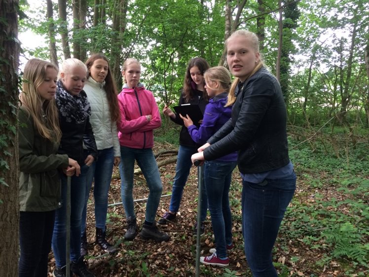 Groepje leerlingen aan het werk in het bos, raai B (foto: A. Verbers)