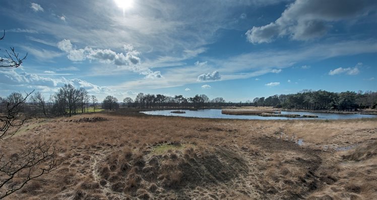 Het Smitveen in het Dwingelderveld is zeer waarschijnlijk wel een pingoruïne (foto: Frans de Vries)