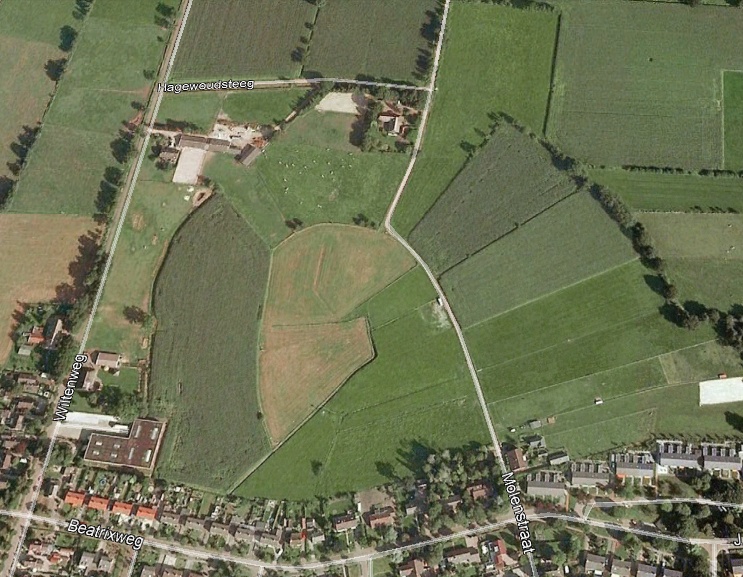 Luchtfoto van de ondezoekslocatie. De donkere percelen bestaan uit bouw- en de lichtere uit grasland (bron: Google Earth).
