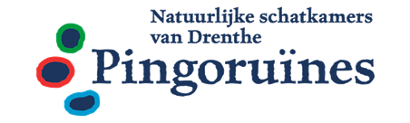 Logo-Pingoruines