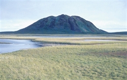 Een pingo in de Mackenzie delta, Canada (Bron: E. Koster)